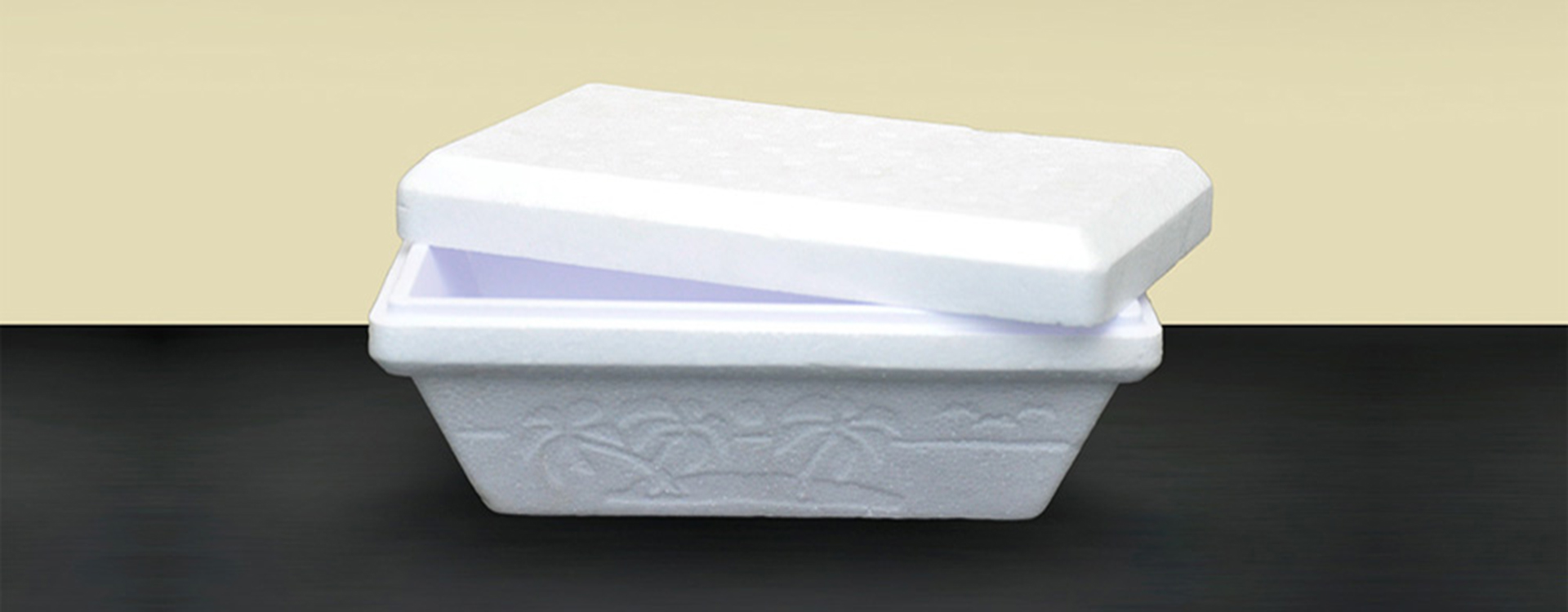 Foam Ice Cream Container WHITE VSF HELLAS SA